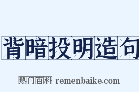 背暗投明造句是什么意思的图片